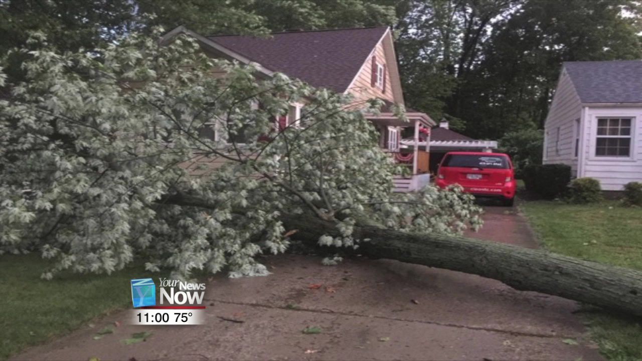 Damaging storms.jpg